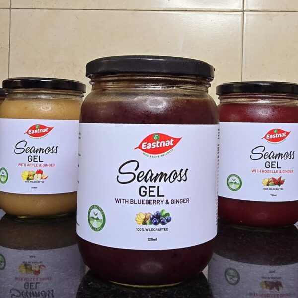 Seamoss Blueberry Ginger