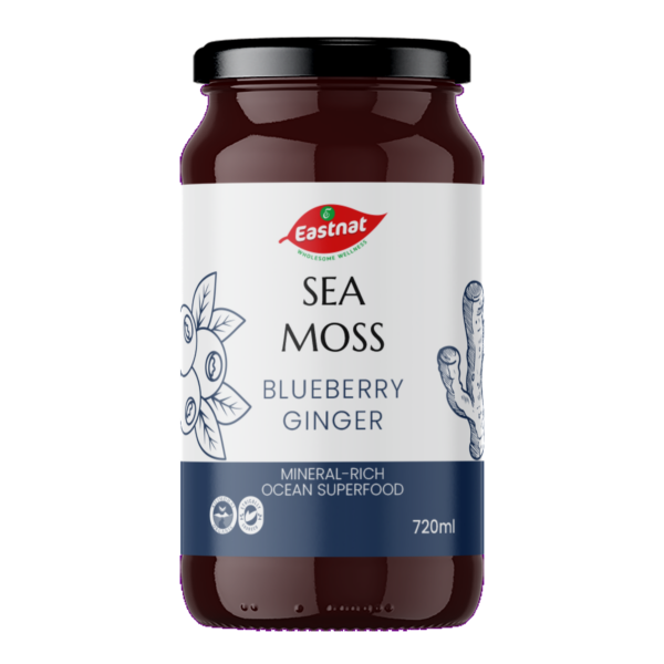 Seamoss Blueberry Ginger